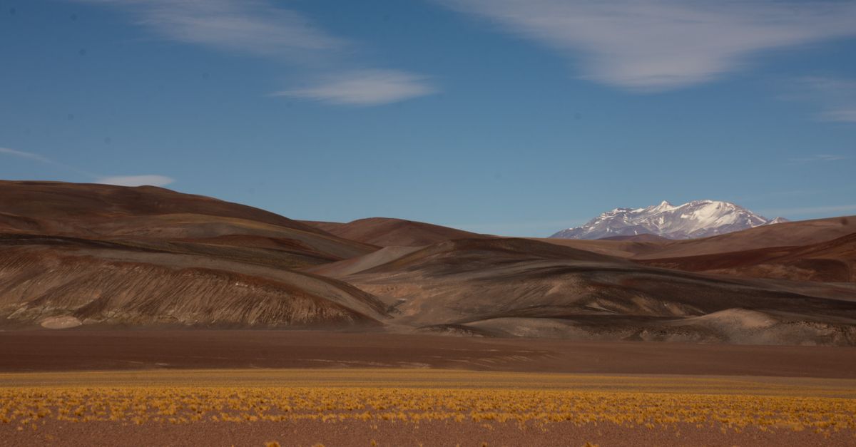 Wide Patagonian landscape with dry grass, distant mountains and a cloudy sky